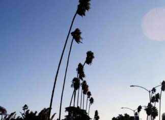 L.A.’s Urgent Need for Rain to Combat High Risk of New Fires las-urgent-need-for-rain-to-combat-high-risk-of-new-fires