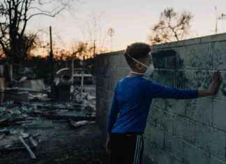 Life for Children in Los Angeles After Devastating Fires: A Personal Account life-for-children-in-los-angeles-after-devastating-fires-a-personal-account