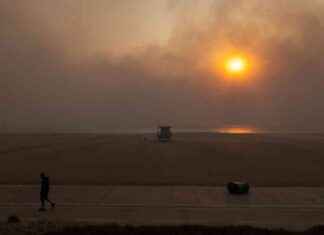 Impact of Wildfires on Los Angeles Tourism: Will Tourists Stay Away? mpact-of-wildfires-on-los-angeles-tourism-will-tourists-stay-away