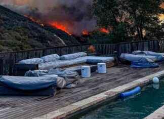 Inside the Pacific Palisades Fire: First Hours of Destruction nside-the-pacific-palisades-fire-first-hours-of-destruction