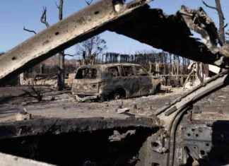 Prosecution of Suspected Curfew Violators and Price Gougers in Palisades Fire Zone prosecution-of-suspected-curfew-violators-and-price-gougers-in-palisades-fire-zone