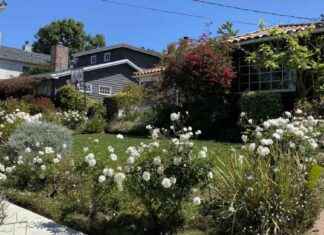 Rebuilding After Losing Home in Palisades Fire: Family’s Journey rebuilding-after-losing-home-in-palisades-fire-familys-journey