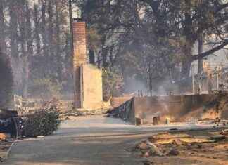 Resilient Single Mom Praises Altadena Community Amid California Wildfires resilient-single-mom-praises-altadena-community-amid-california-wildfires