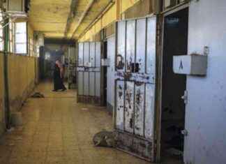 Syrians Search for Lost Loved Ones After Assad’s Fall syrians-search-for-lost-loved-ones-after-assads-fall