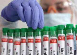 Texas Officials Confirm Bird Flu Outbreak in Early January texas-officials-confirm-bird-flu-outbreak-in-early-january