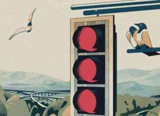 The Impact of the 2024 Election on New Jersey’s Political Landscape the-mpact-of-the-2024-election-on-new-jerseys-political-landscape