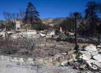 Three Generations of Altadena Family Lose Homes in Eaton Fire: A Heartbreaking Story of Loss three-generations-of-altadena-family-lose-homes-in-eaton-fire-a-heartbreaking-story-of-loss