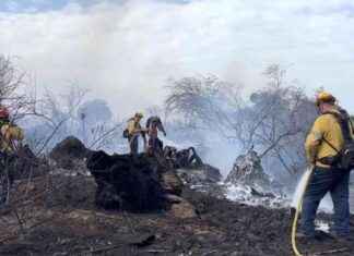 Tragic Discovery: Man Found Dead in Ventura County Olivas Fire tragic-discovery-man-found-dead-in-ventura-county-olivas-fire