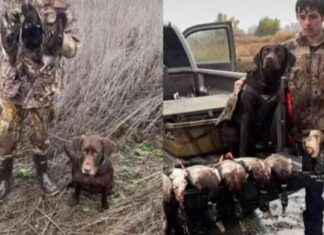 Tragic Discovery: Missing Duck Hunter Found in Waterway tragic-discovery-missing-duck-hunter-found-in-waterway