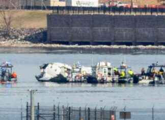 Trump Criticizes Diversity, Equity, and Inclusion in FAA: Fox News Politics Newsletter trump-criticizes-diversity-equity-and-nclusion-in-faa-fox-news-politics-newsletter