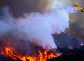 Uncovering the Cause of the Palisades Fire: Investigating the Scorched Slope uncovering-the-cause-of-the-palisades-fire-nvestigating-the-scorched-slope