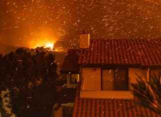 Uncovering the Destructive Force of Santa Ana Winds uncovering-the-destructive-force-of-santa-ana-winds