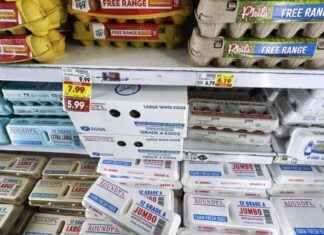 Why Egg Prices are Soaring: Understanding the Factors Behind the Nearly $9 Per Dozen Increase why-egg-prices-are-soaring-understanding-the-factors-behind-the-nearly-9-per-dozen-ncrease