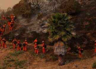 Wildfire Death Toll Rises to 24, Red Flag Alerts in L.A. – Stay Safe! wildfire-death-toll-rises-to-24-red-flag-alerts-in-la-stay-safe