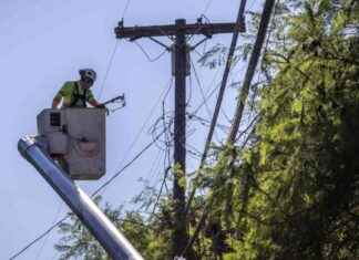 Workplace Safety: DWP Reports Threats of Violence and Potential Gun Violence workplace-safety-dwp-reports-threats-of-violence-and-potential-gun-violence