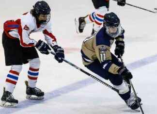 Daily Stat Leaders and Three Stars in Ice Hockey: Feb. 8 daily-stat-leaders-and-three-stars-in-ce-hockey-feb-8