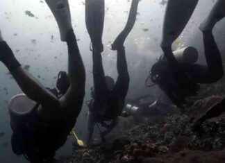 Fatal Shark Attack at Popular Philippine Diving Spot fatal-shark-attack-at-popular-philippine-diving-spot