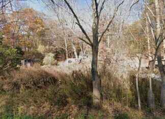 homes-for-sale-in-sussex-county-under-350000