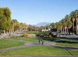 Humanities Major: Your Path to Employment Success humanities-major-your-path-to-employment-success