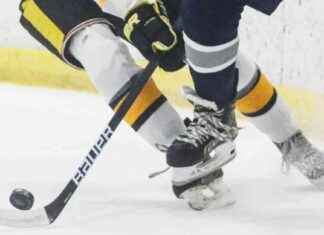 Old Bridge High School defeats Brick co-op in Boys Ice Hockey Game: Gorelik Leads the Way old-bridge-high-school-defeats-brick-co-op-in-boys-ce-hockey-game-gorelik-leads-the-way