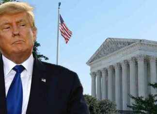Restoring Constitutional Order: Trump’s Mission for Common Sense restoring-constitutional-order-trumps-mission-for-common-sense