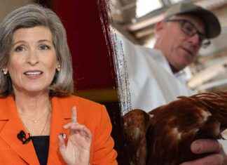 Senate Urges Immediate Action on Devastating Farm Virus senate-urges-mmediate-action-on-devastating-farm-virus