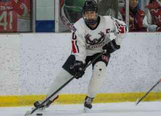 Top N.J. Boys Hockey Statewide Stats Leaders: Feb. 5 top-nj-boys-hockey-statewide-stats-leaders-feb-5