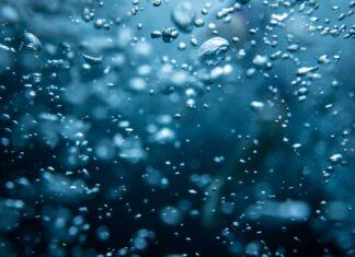 Unlocking the Secrets of HCOOCH CH2 H2O: A Deep Dive into Its Chemistry and Applications