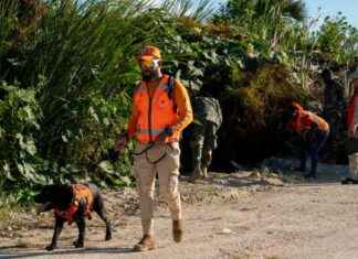 U.S. Student Missing in Dominican Republic: Search by Authorities us-student-missing-in-dominican-republic-search-by-authorities