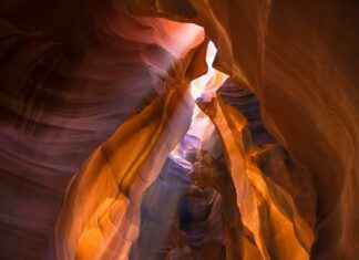 Arizona Cardinals vs Washington Commanders Match Player Stats Arizona Cardinals vs Washington Commanders Match Player Stats