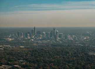 Carolina Panthers vs Arizona Cardinals Match Player Stats Carolina Panthers vs Arizona Cardinals Match Player Stats