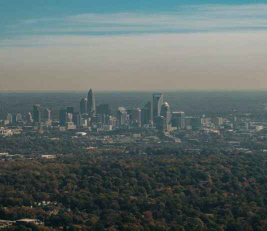 Carolina Panthers vs Arizona Cardinals Match Player Stats