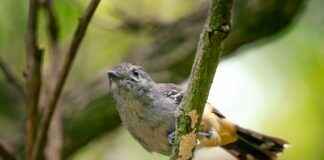 Jennifer Lopez And Ben Affleck Latest News Jennifer Lopez And Ben Affleck Latest News