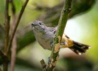 Jennifer Lopez And Ben Affleck Latest News Jennifer Lopez And Ben Affleck Latest News