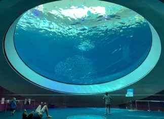 Miami Dolphins vs Las Vegas Raiders Match Player Stats Miami Dolphins vs Las Vegas Raiders Match Player Stats