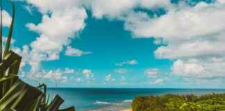 Nā Pali Coast State Wilderness Park News