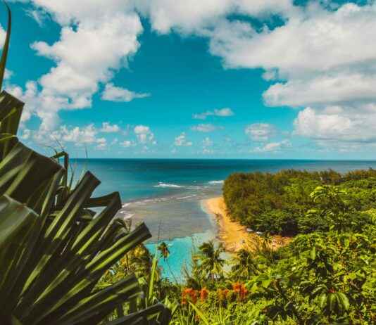 Nā Pali Coast State Wilderness Park News
