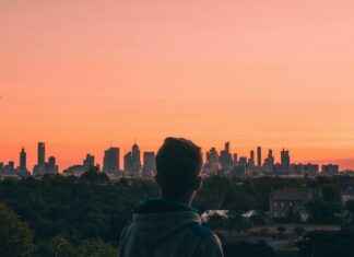 New York Giants vs Bengals Match Player Stats New York Giants vs Bengals Match Player Stats