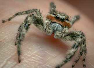 Prince Harry Settles With NG News Over Past Wrongdoings Prince Harry Settles With NG News Over Past Wrongdoings