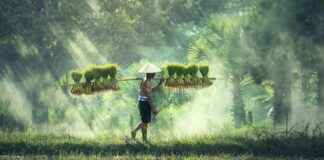 Rice Owls Football vs Army Football Match Player Stats Rice Owls Football vs Army Football Match Player Stats