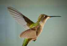 Taylor Swift And Travis Kelce Latest News