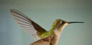 Taylor Swift And Travis Kelce Latest News