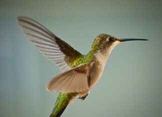 Taylor Swift And Travis Kelce Latest News Taylor Swift And Travis Kelce Latest News