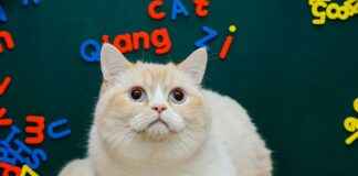 US News And World Report MBA Rankings US News And World Report MBA Rankings