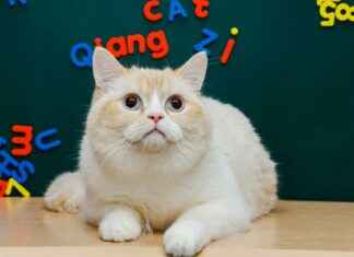 US News And World Report MBA Rankings US News And World Report MBA Rankings