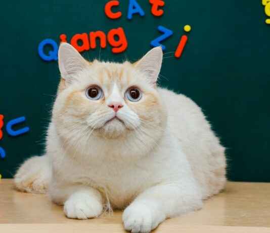 US News And World Report MBA Rankings US News And World Report MBA Rankings