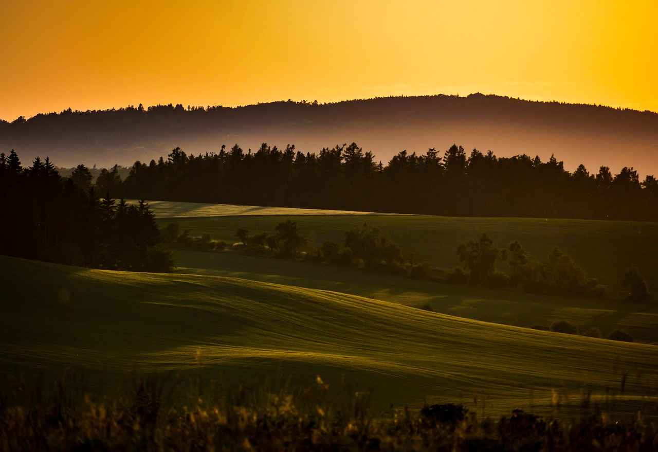 Conclusion: What the 208 Area Code Means for You