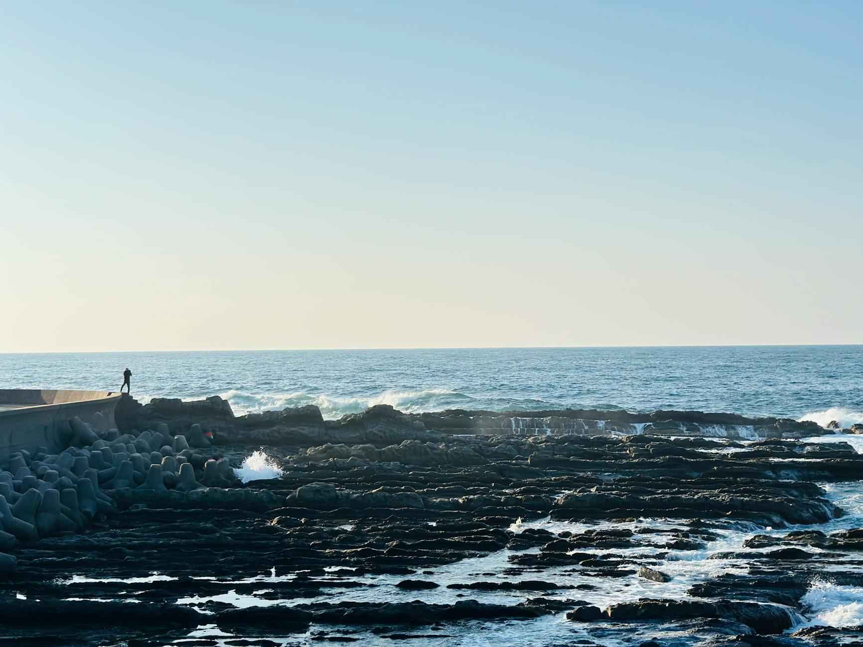 Using Reverse Phone Lookup