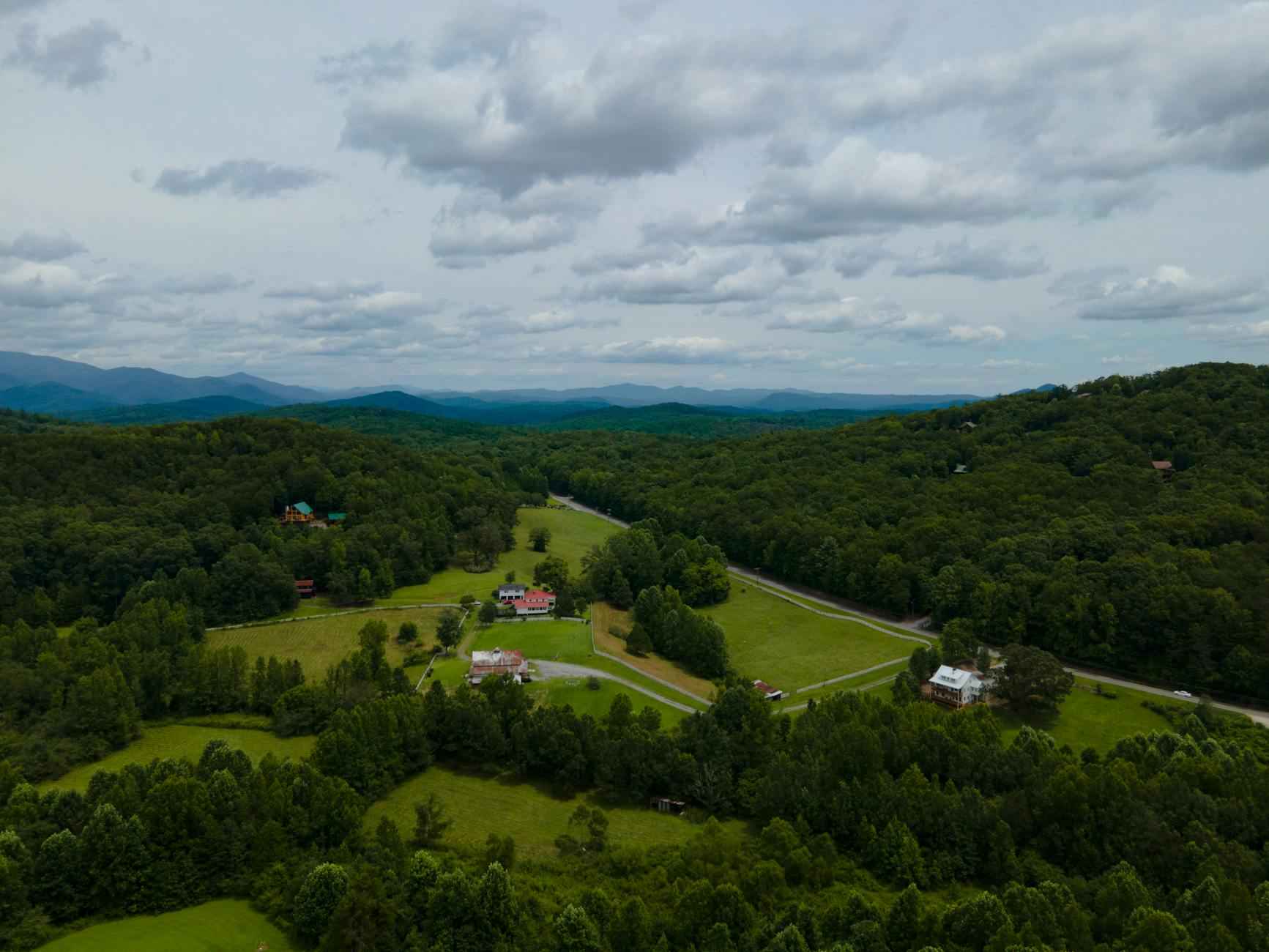 Legitimate Businesses Using 216