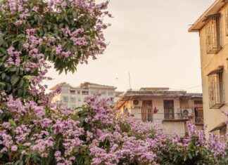 239 Area Code Lookup: Southwest Florida Or Spam Call? 239 Area Code Lookup: Southwest Florida Or Spam Call?